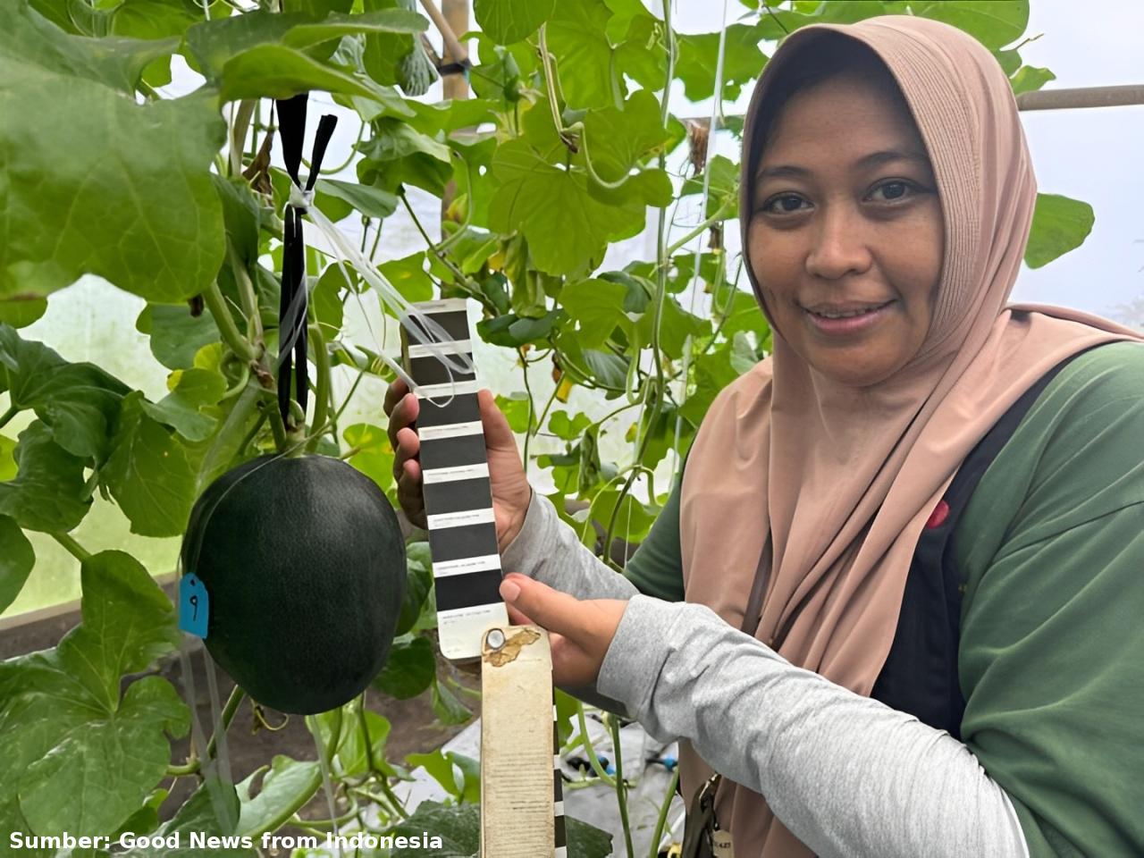 Perjuangan Astrid Ika Paramitha Dorong Varietas Buah Unggul Lokal Lewat Melon Hitam