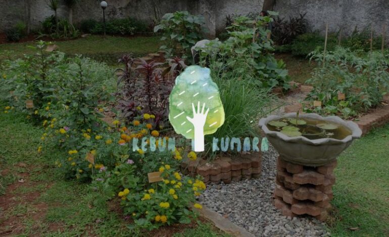 kebun kumara