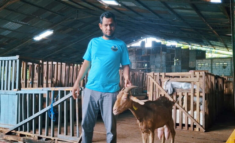 Peternak Kambing Nio Farm Semarang