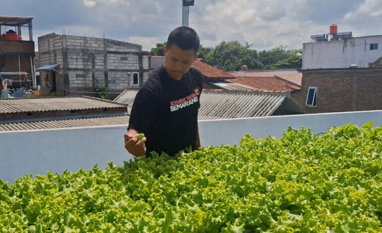 Arif Aditya Nur Pratama (Owner Sequence Hydrofarm Semarang).
