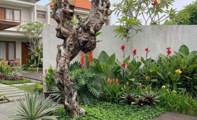 8 Tanaman yang Bikin Rumah Kaya di Resort Mewah Sekelas Villa Bali