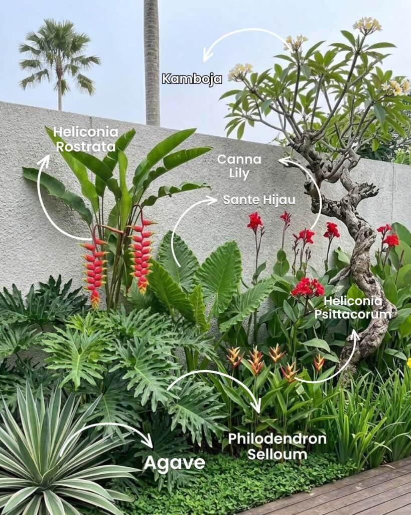 tanaman yang bikin rumah kaya di resort