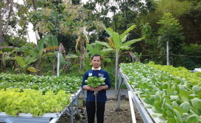 ahmad farm