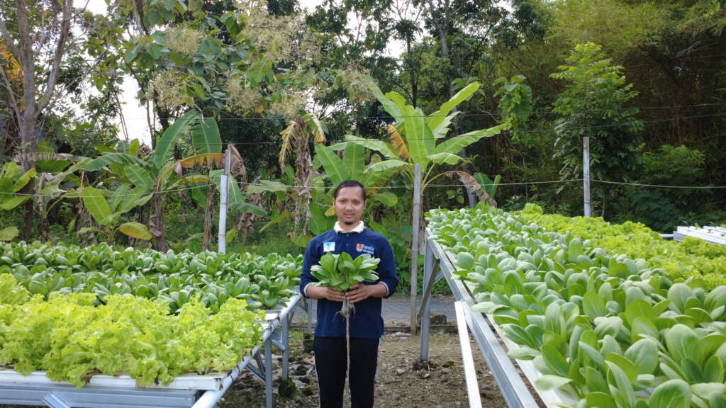 Petani Muda Hasilkan Omset 2 Kali Gaji UMR Sebulan dari Sayur Hidroponik, Modal Awal Rp5 Juta