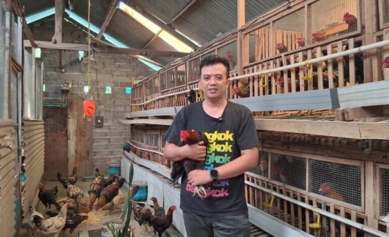 Resign dari Head Marketing Perbankan, Pilih Ternak Ayam KUB dan Elba demi Hidup Lebih Berkah