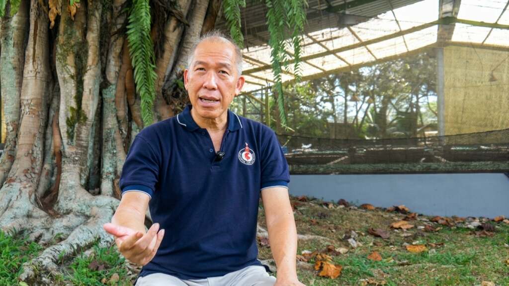 Kisah Sugiarto Budiono Bangun Jakarta Koi Centre: Berburu Langsung ke Jepang hingga Strategi Merawat Ikan Koi Juara