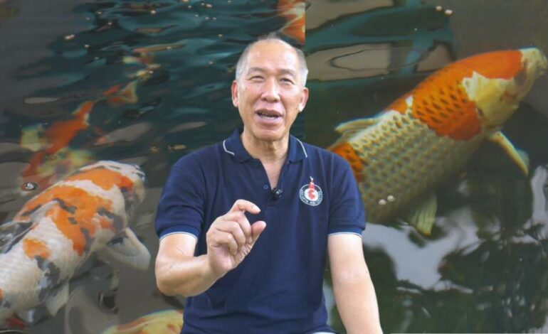 Sugiarto Budiono Owner Jakarta Koi Centre